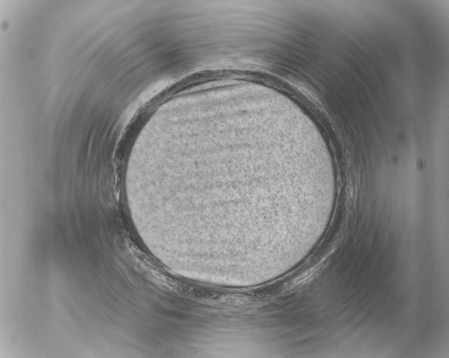 X0000052570974200507292002