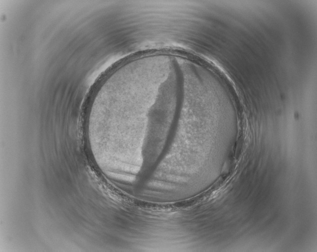 X0000052570975200507292002