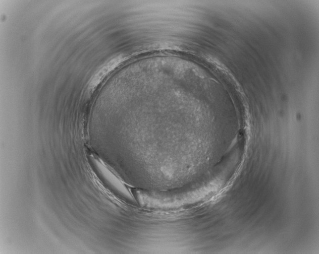 X0000052570977200507292002