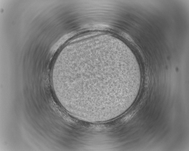 X0000052570978200507292002