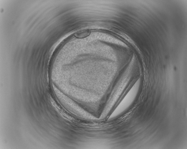 X0000052570980200507292002