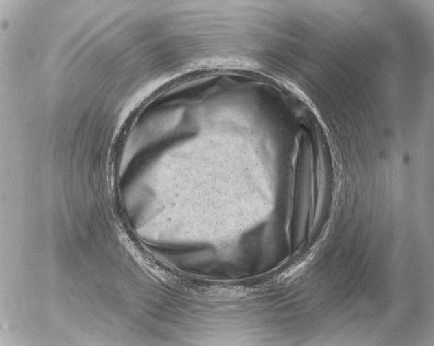 X0000052570981200507292002