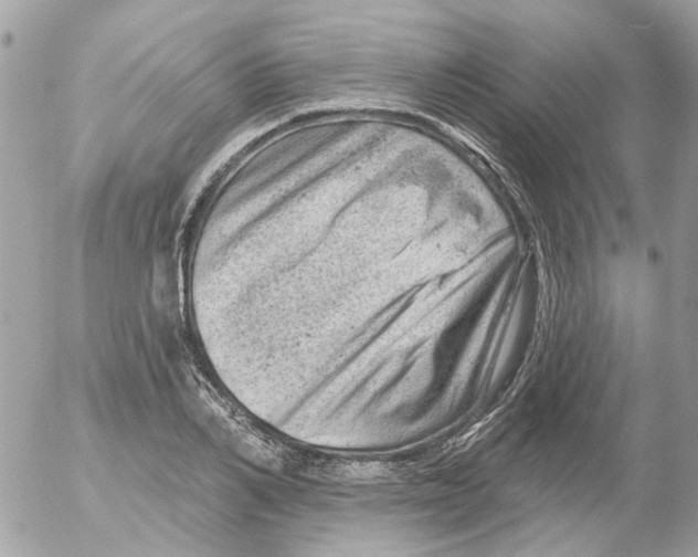 X0000052570982200507292002