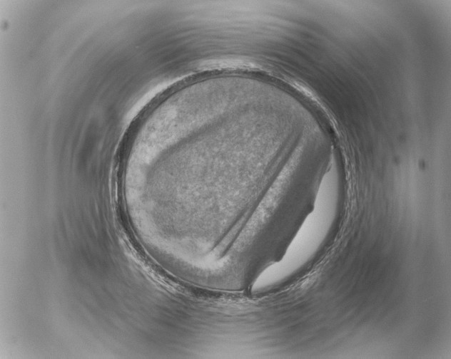 X0000052570983200507292002