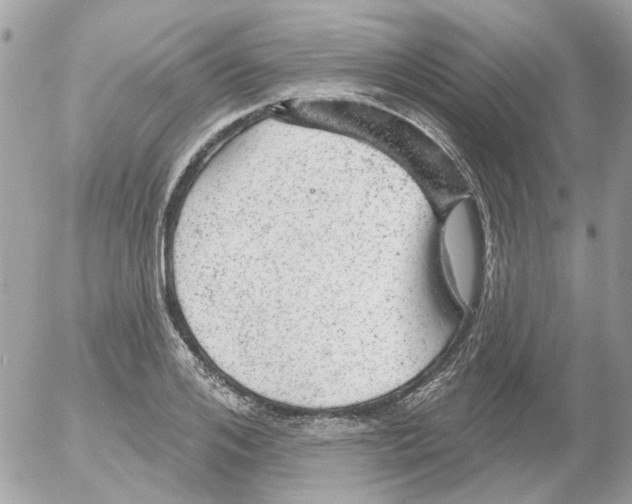 X0000052570984200507292002