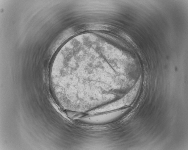 X0000052570986200507292002