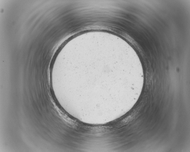 X0000052570988200507292002