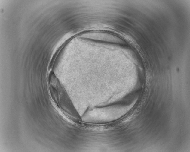 X0000052570990200507292002