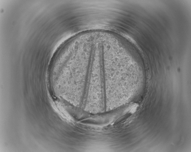 X0000052570991200507292002