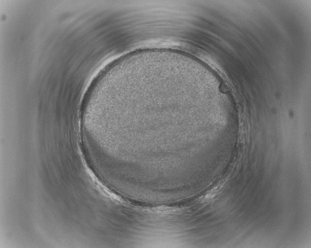 X0000052570992200507292002