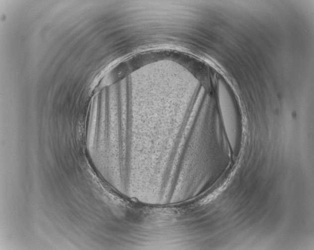 X0000052570993200507292002