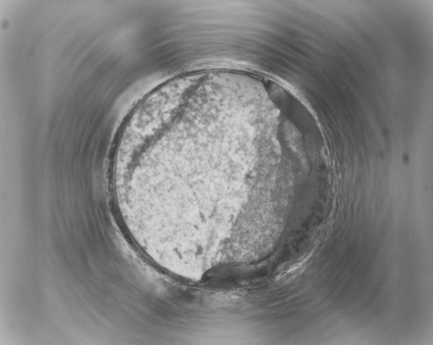 X0000052570995200507292002