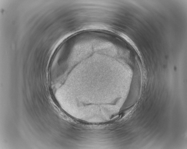 X0000052570996200507292002