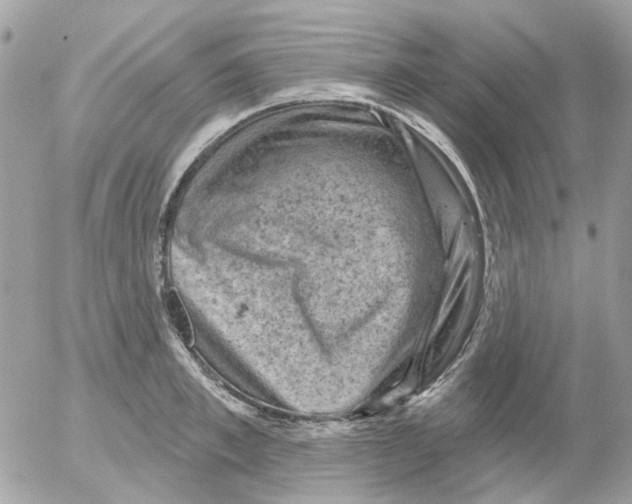 X0000052570997200507292002