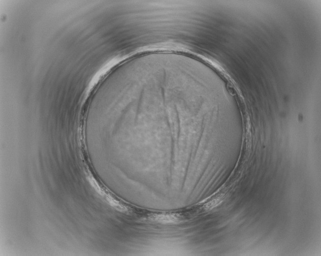 X0000052570998200507292002