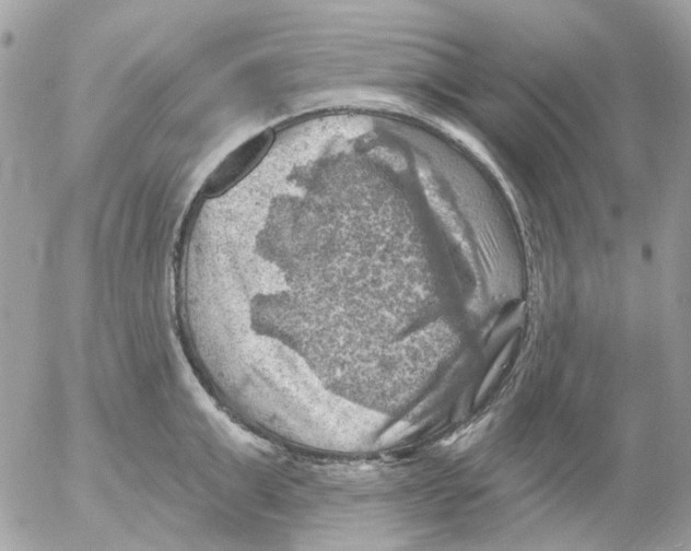 X0000052570999200507292002