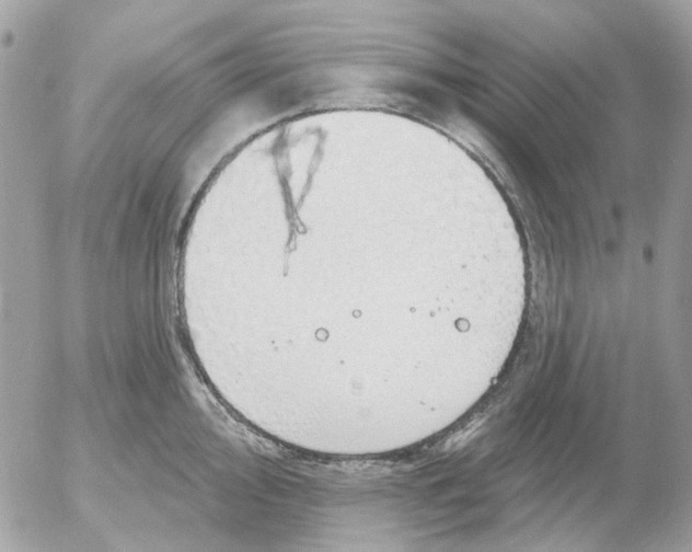 X0000052571000200507292002