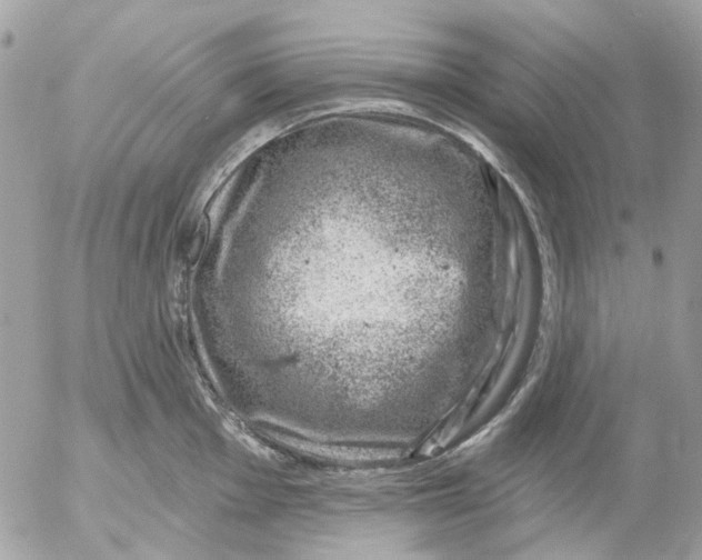 X0000052571001200507292002