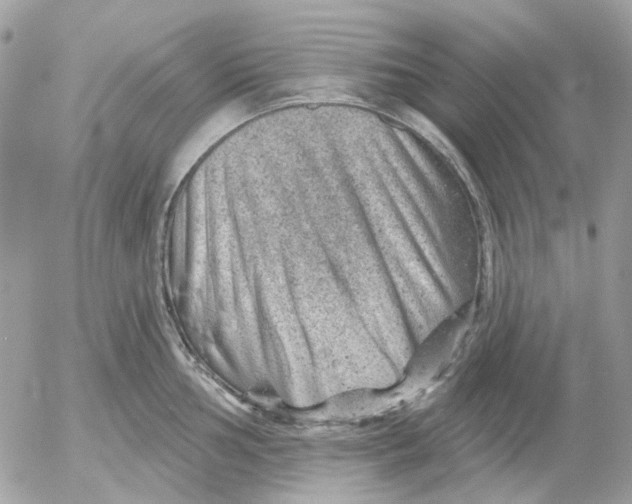 X0000052571002200507292001