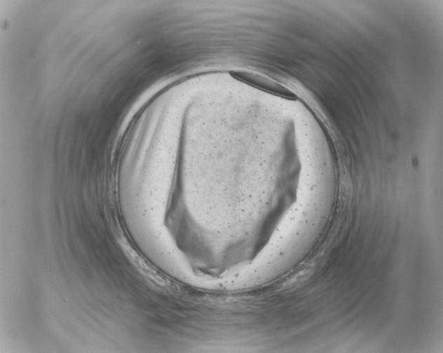 X0000052571004200507292001