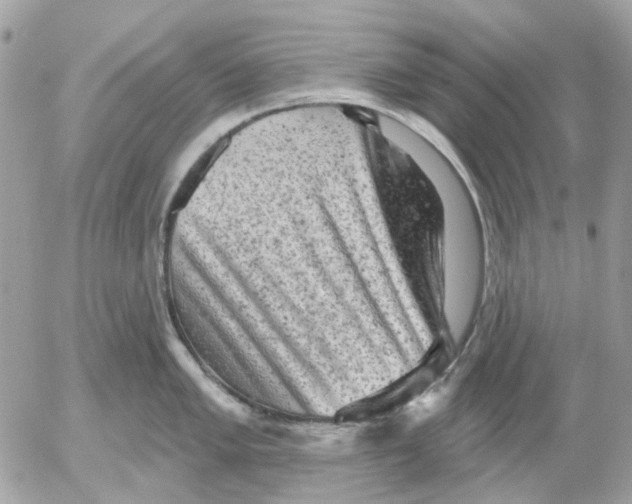 X0000052571005200507292001