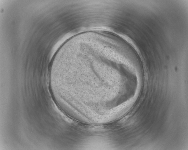 X0000052571006200507292001