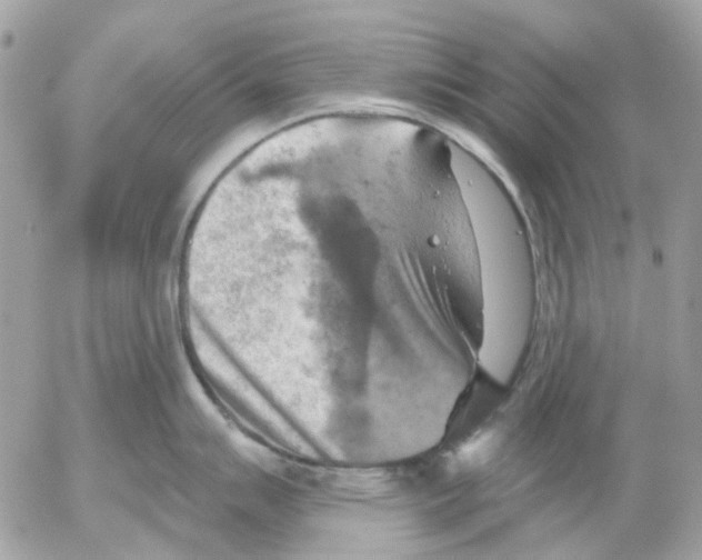 X0000052571007200507292001