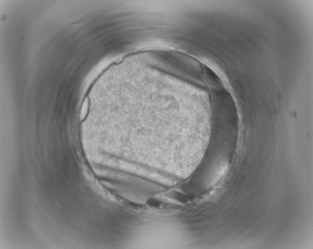 X0000052571008200507292001