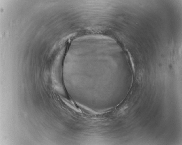 X0000052571010200507292001