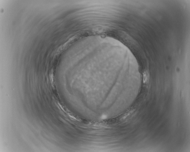 X0000052571011200507292001