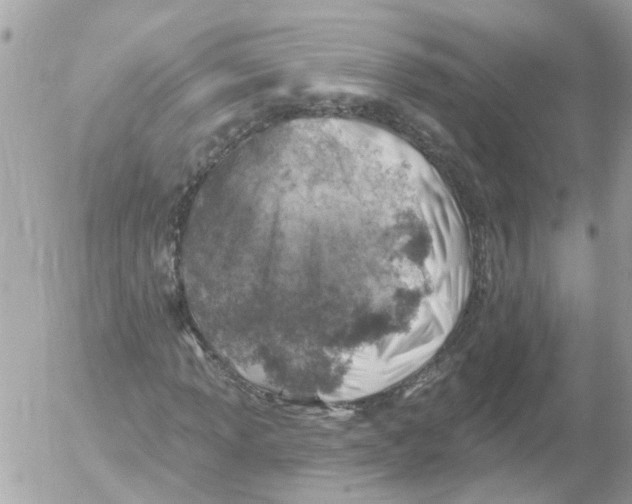 X0000052571013200507292001