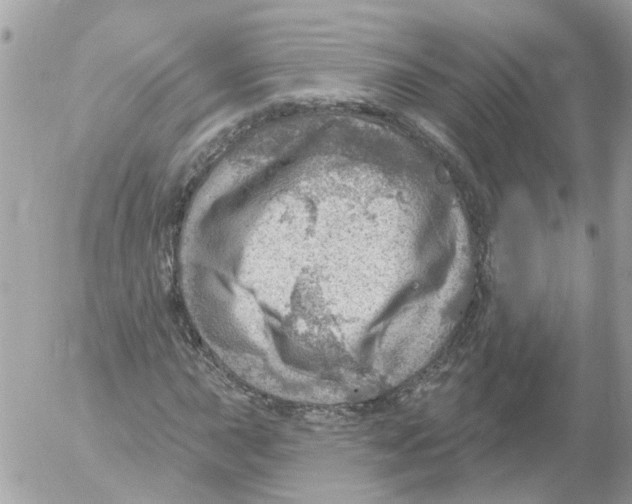 X0000052571015200507292001