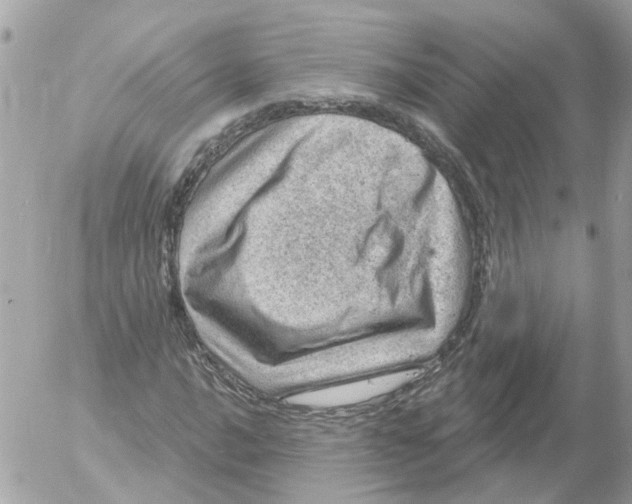 X0000052571016200507292001