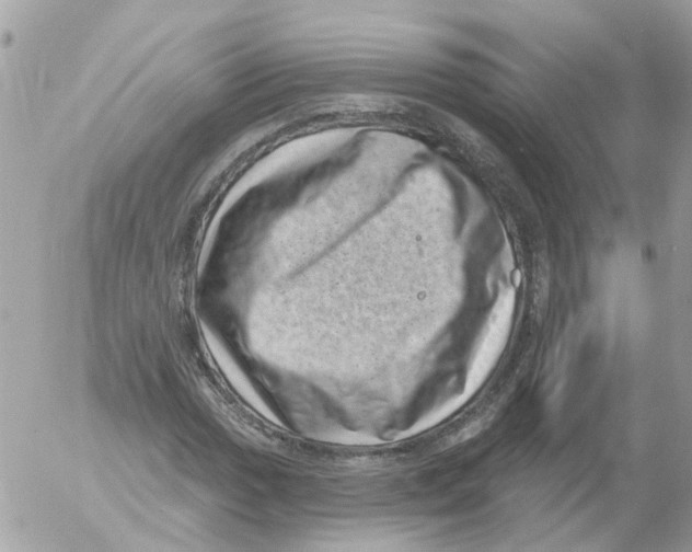 X0000052571017200507292001