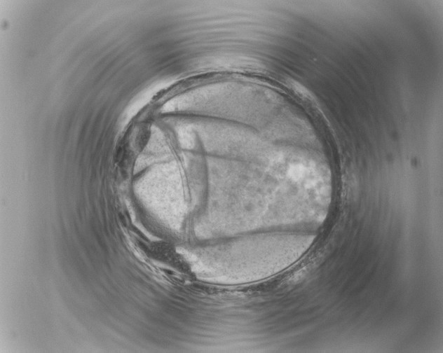 X0000052571019200507292001