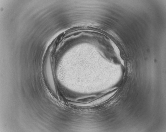 X0000052571020200507292001