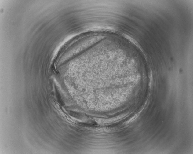 X0000052571021200507292001