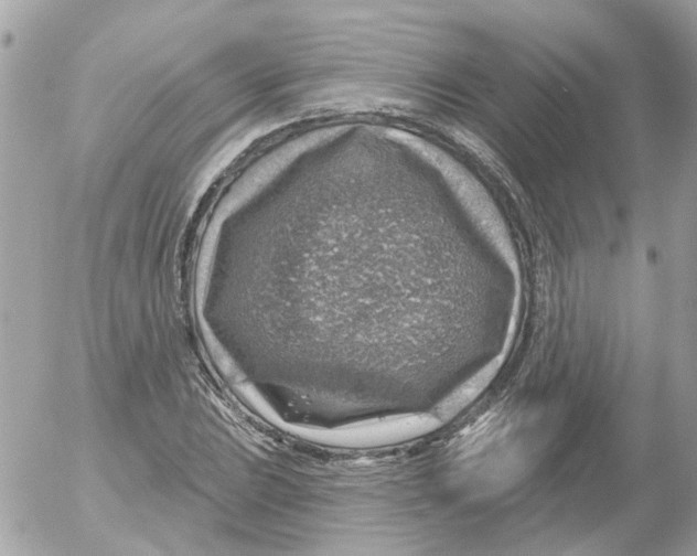 X0000052571023200507292001