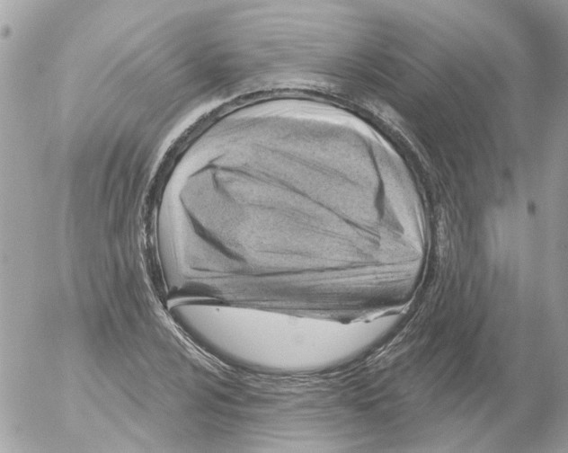 X0000052571024200507292001