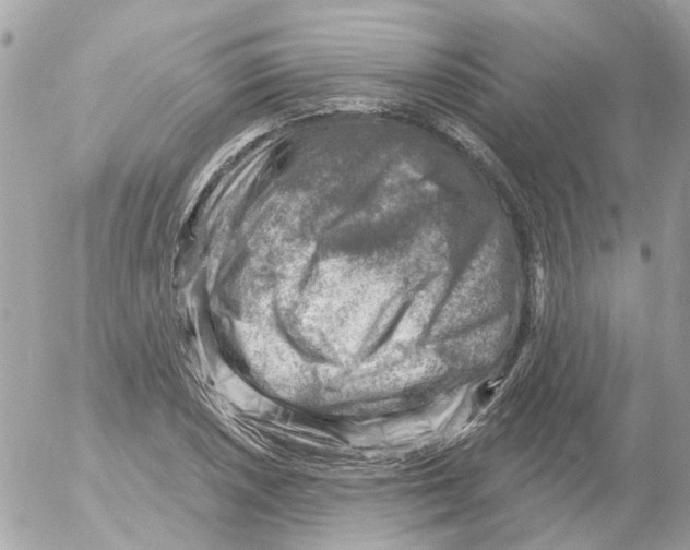 X0000052571026200507292001