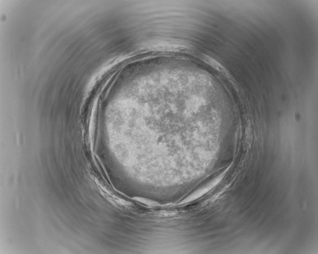 X0000052571027200507292001