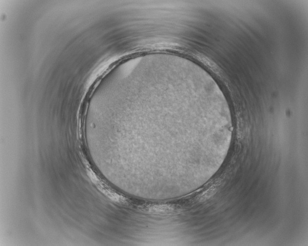 X0000052571031200507292001