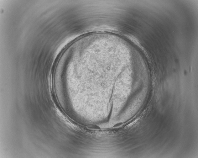 X0000052571032200507292001