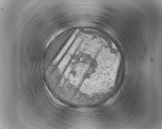 X0000052571033200507292001