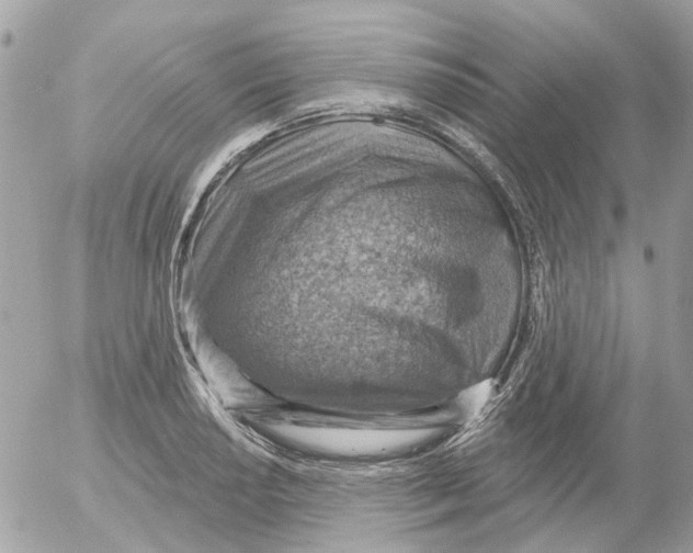 X0000052571034200507292001