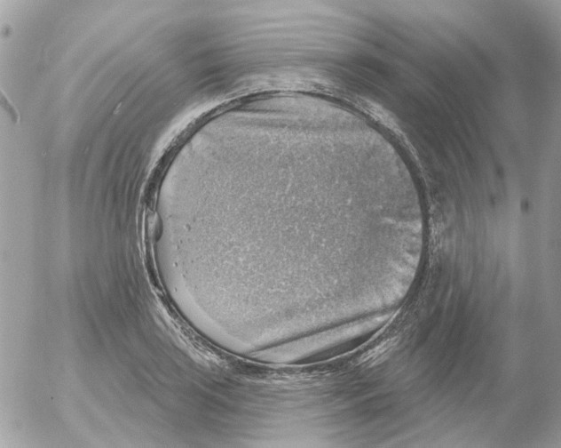 X0000052571035200507292001