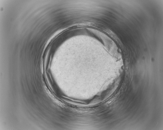 X0000052571036200507292001