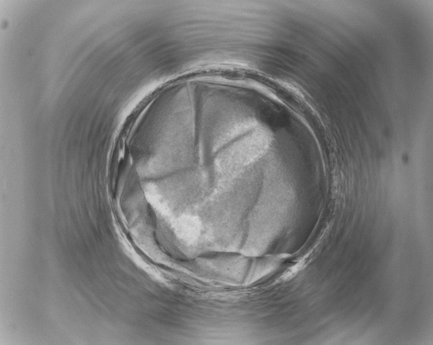 X0000052571038200507292001