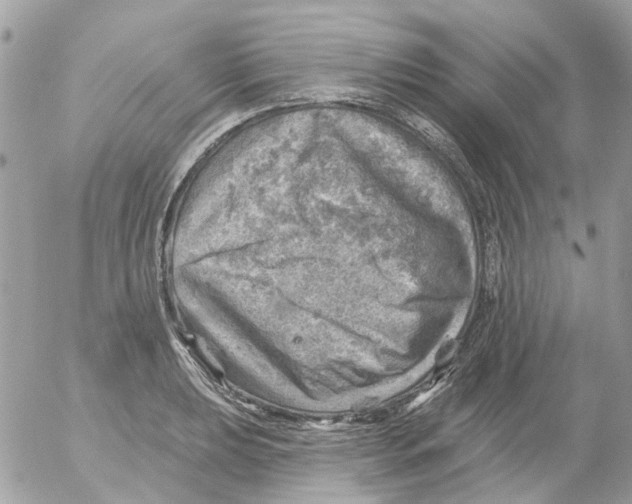 X0000052571039200507292001