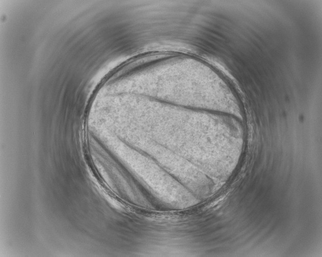 X0000052571040200507292001